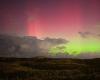 There is a rare, high chance of Northern Lights in the Netherlands in the coming nights | Domestic