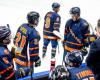 Fifteen cancellations, now against the Emirates: ‘Dutch ice hockey players are spoiled’