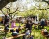 Celebrate spring with fairs, open gardens and more. This is what you can do this weekend in Groningen and Drenthe