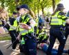 Unrest after pro-Palestinian march in Amsterdam, seven arrests | At home and abroad