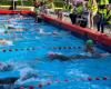 Belgian victory in swimming race Heinkenszand | Sports in Zeeland
