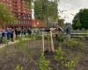 The municipality of Nieuwegein and Blauwhoed open a nature-inclusive garden at Point of View