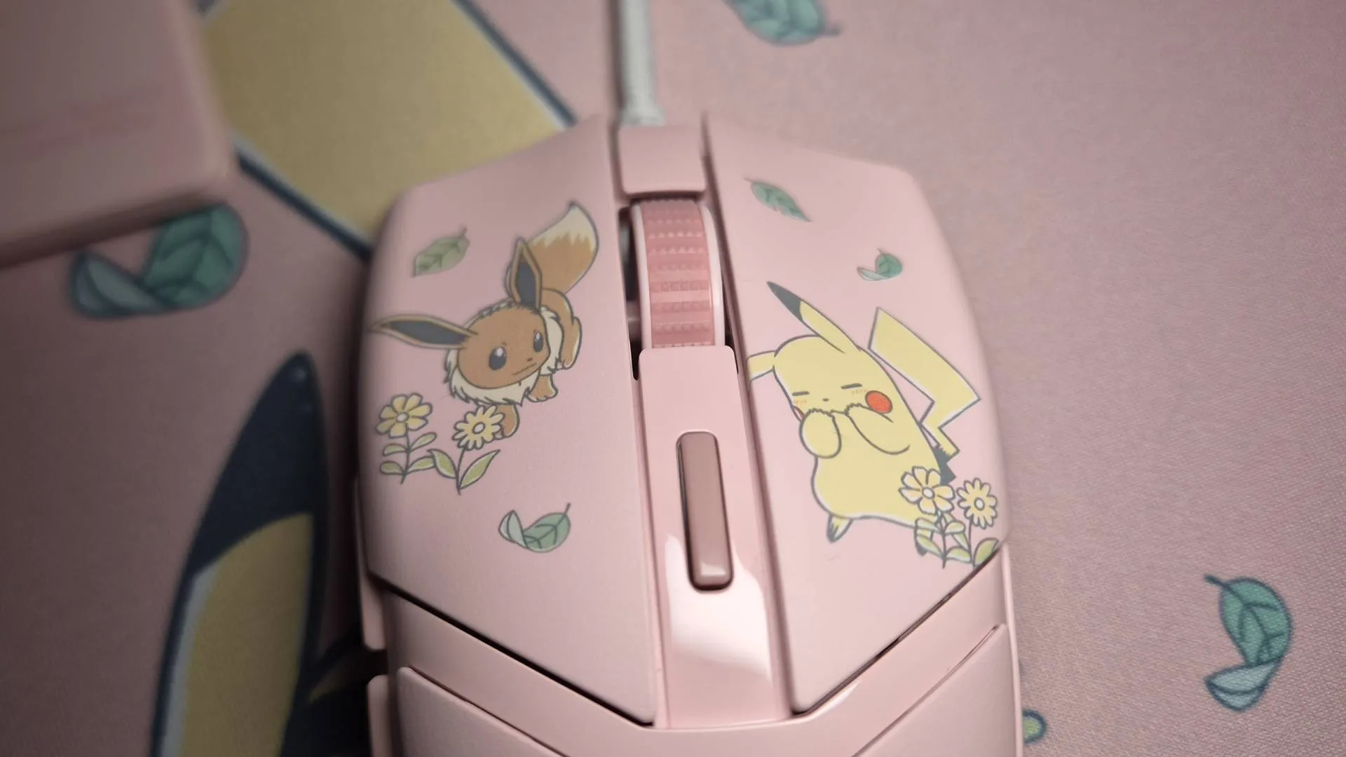 Photo of Razer's Pikachu &amp; Eevee Collection.