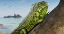 Bevestigde diersoorten in GTA 6 tot nu toe