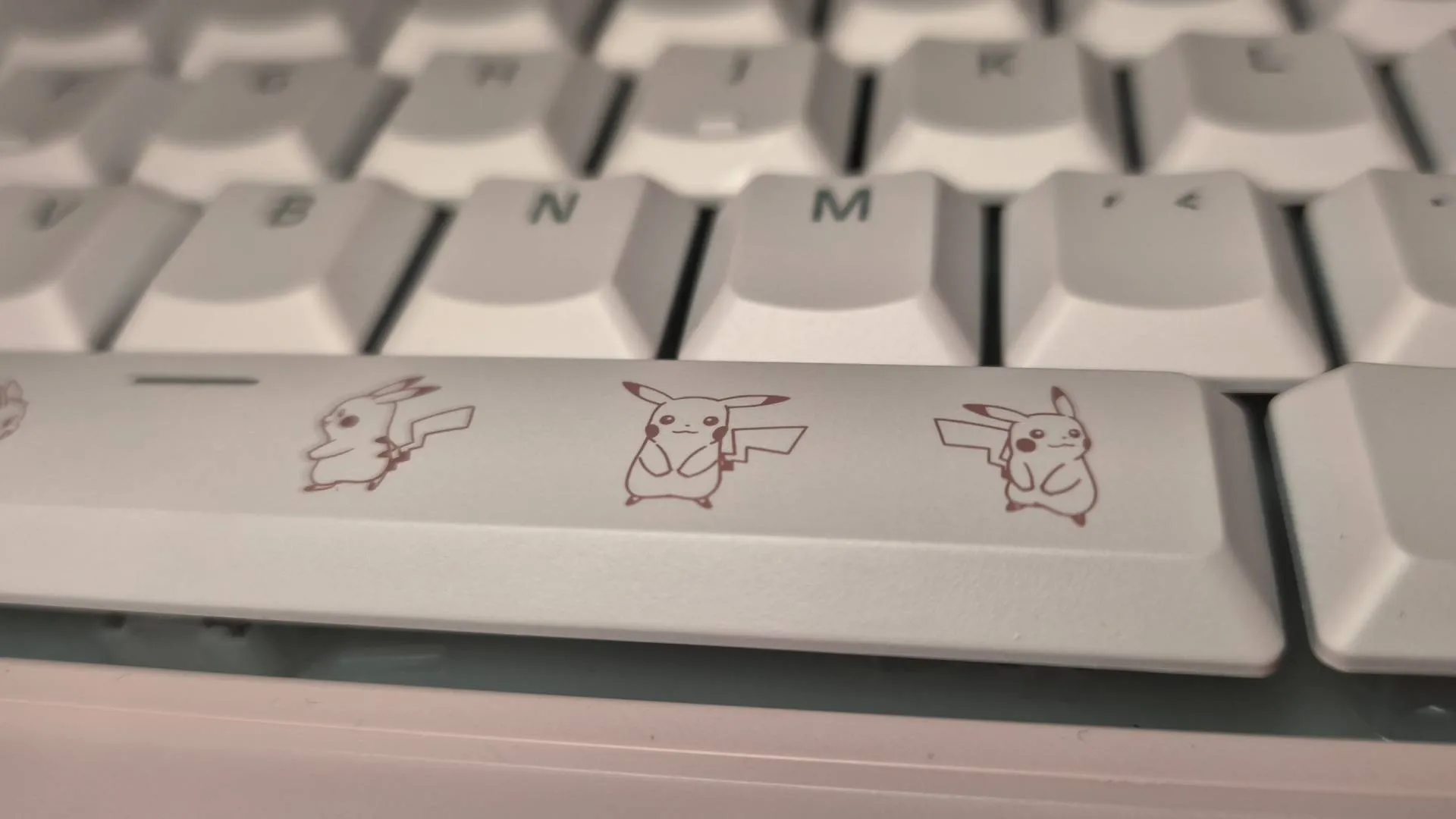 Photo of Razer's Pikachu &amp;amp; Eevee Collection.