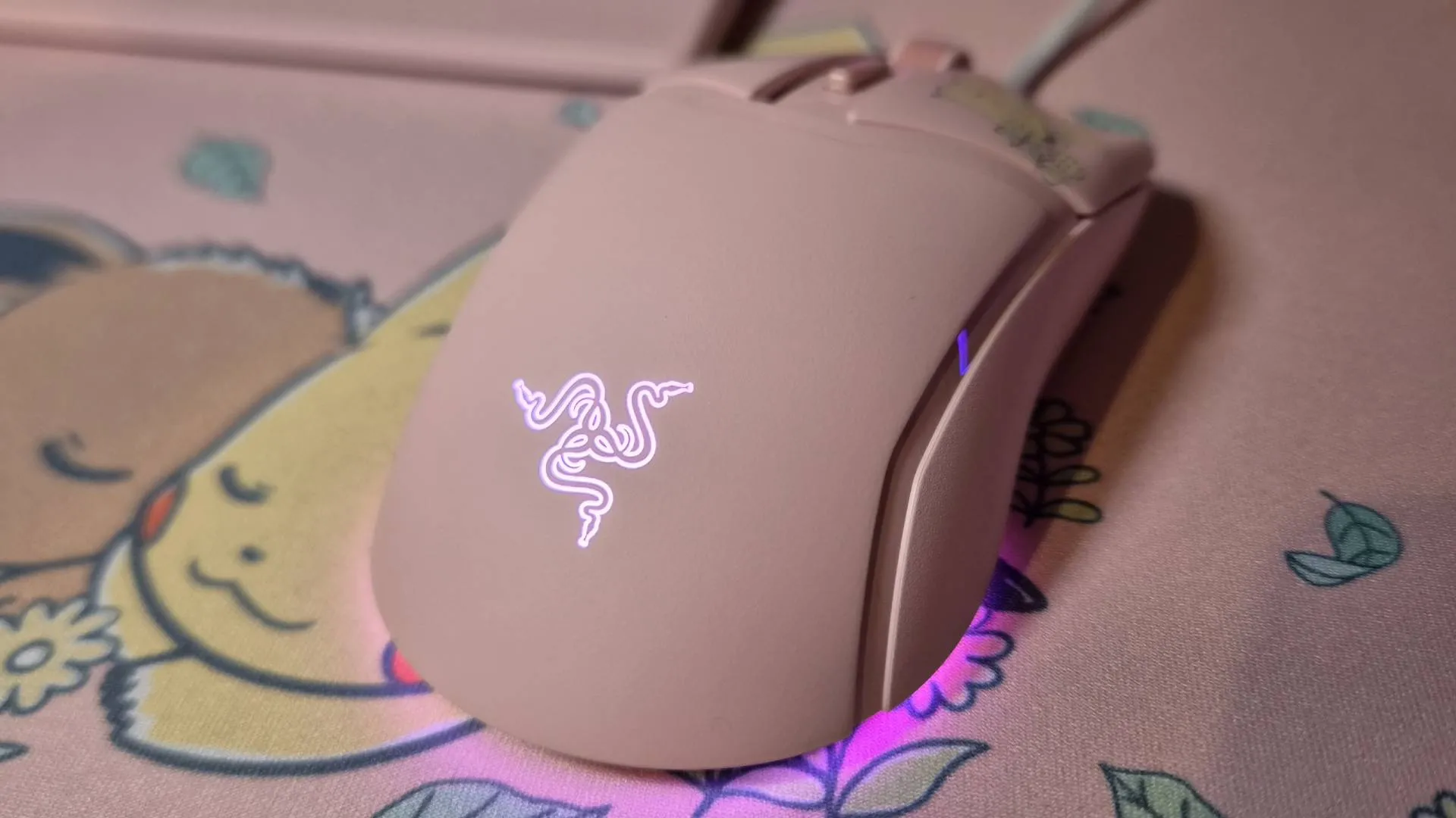 Photo of Razer's Pikachu &amp; Eevee Collection.